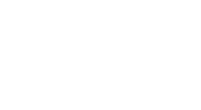 Partner-ace