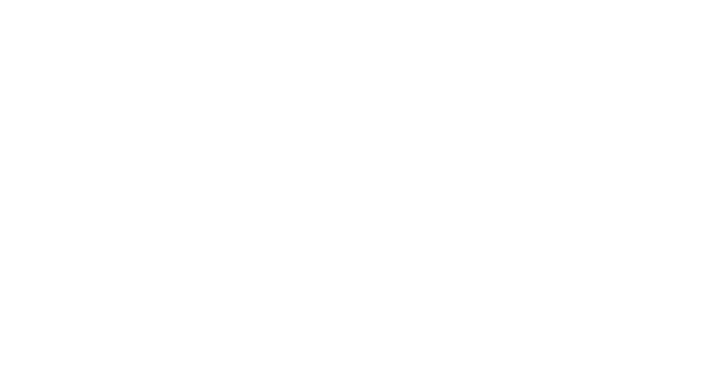 Partner-blank