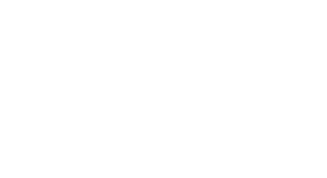 Partner-liwulaw